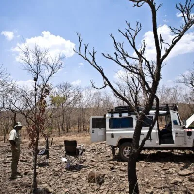 Geophysical studies