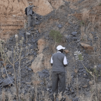 Geological & Geochemistry Studies